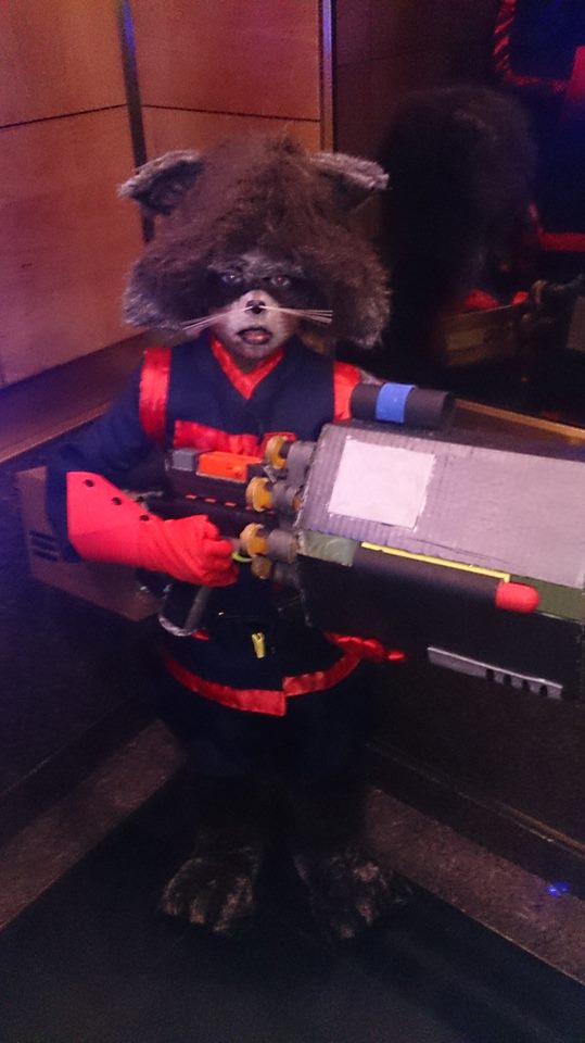 marcus padgett (rocket)